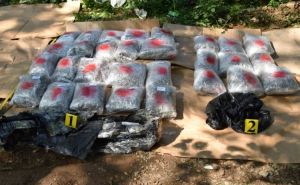 Akcija 'Plantaža': Fočanska policija zaplijenila 64 kilograma marihuane