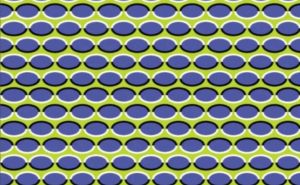 Optička iluzija koja je izazvala raspravu: Da li se krugovi pomjeraju ili...?