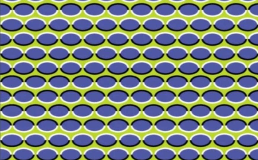 Optička iluzija koja je izazvala raspravu: Da li se krugovi pomjeraju ili...?