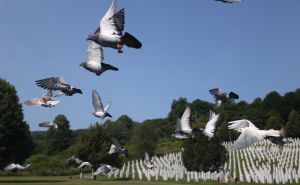Prva kino projekcija filma "Moja Srebrenica" Nerminke Emrić u ponedjeljak u Srebrenici