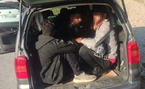 Bosanska uhapšena zbog krijumčarenja 11 migranata