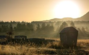 Dženad Džino objavio fascinantnu fotografiju: "Dobro jutro sa čarobnog Blidinja!"