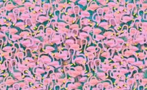 Možete li da pronađete balerinu među flamingosima?