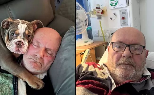 Bulldog 'spasio život' vlasniku tako što mu je izgrizao prst do kosti