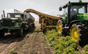 UN izdao preporuke vlastima BiH o načinima kako prevazići krizu u poljoprivredi