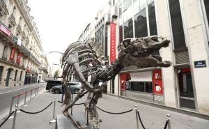 Francuska: Skelet dinosaurusa star 150 miliona godina bit će na aukciji