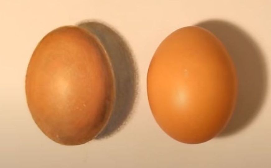 Mozgalica koja je zaludila milione: Imate deset sekundi da otkrijete koje je pravo jaje?