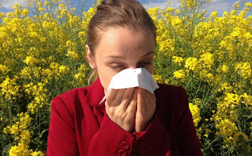 Ambrozija mnogima u BiH stvara probleme: Ovo su preporuke za sve koje pate od alergije