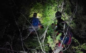 Tragedija u Bosni i Hercegovini: Drvo palo i usmrtilo muškarca