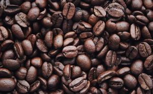 Zadržite svježinu omiljenog napitka: Kako i gdje čuvati kafu?