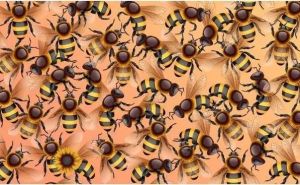 Testirajte vaš vid: Pronađite suncokret među pčelama u 11 sekundi