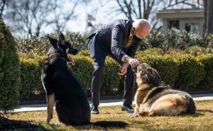 Bidenov pas uklonjen iz Bijele kuće zbog agresivnog ponašanja