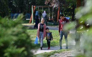 Lijepe vijesti: U Sarajevu u zraku se bilježi smanjenje polena ambrozije