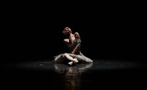 NPS na još jednom gostovanju: Na repertoaru su dramska predstava 'Leptir' i balet 'Panta Rhei'