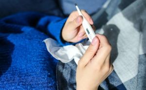 Sezona je gripe i prehlade: Nabavite citrusno voće, bijeli luk, đumbir, tamnu čokoladu i kurkumu