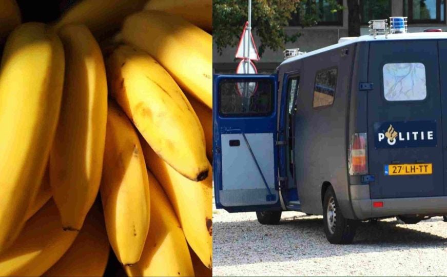 U bananama skrivali 7,7 tona kokaina