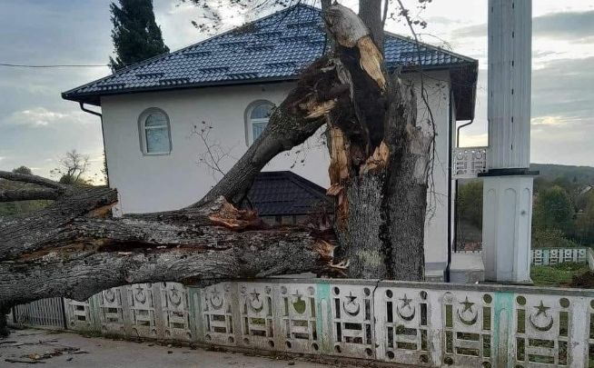 Olujno nevrijeme i rekordno visoke temperature: Jugo obarao stabla u Bosni