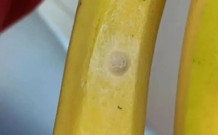 Jeste li ikad vidjeli ovakvu mrlju na bananama? Mnogi su se prestravili kad su saznali šta je to