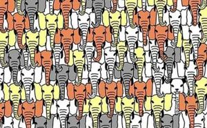 Možete li pronaći pandu na ilustraciji za samo sedam sekundi?