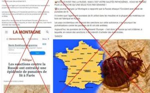 Britanski mediji otkrivaju čija obavještajna služba širi paniku od stjenica u Francuskoj