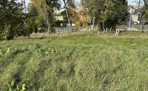 Pitali smo Pokop: 'Dodikovi komunalci nisu imali nadležnost za čišćenje groblja kod Suda BiH'