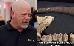 Žena donijela kosti slona u svjetski poznati show 'Pawn Stars': Tvrdi da su iz Bosne i Hercegovine