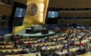 Kritike na račun Njemačke zbog glasanja u UN-u: 'Potrebna nam je vaša podrška'