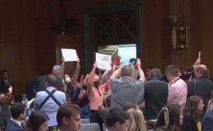 "Prekini vatru odmah": Demonstranti prekinuli Blinkenovo izlaganje u Senatu!