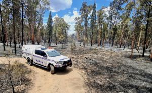 Šumski požari bjesne u Australiji: "Nikad nismo vidjeli ništa slično"