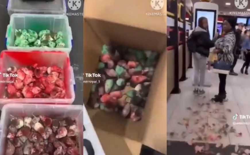 Objavljen snimak: Propalestinski aktivista ubacio kutiju punu miševa u McDonald's