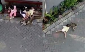 Uznemirujući video: Agresivni majmun došao na biciklu i pokušao oteti dijete