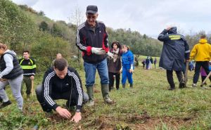 Lijepe vijesti: U ovom dijelu BiH ekološki megaprojekat - počela akcija pošumljavanja