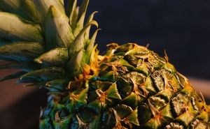 Voće s prirodno bogatim izvorom melatonina: Ananas za bolji san, evo zašto?
