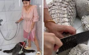 Snimak koji je izazvao kritike: Djevojka oprala, odrala, i skuhala aligatora od 90 kilograma