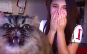 Operska pjevačica i njena mačka osvojile internet: Poslušajte ih kako pjevaju