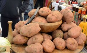 Divne vijesti: Glamočki krompir uskoro postaje zaštićeni brend