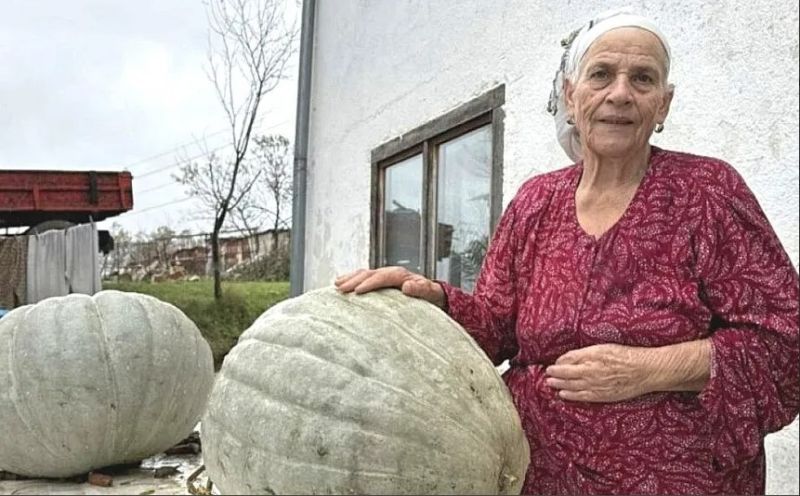 Komšije u čudu: Nana iz Cazina uzgaja bundeve teške i do 50 kilograma