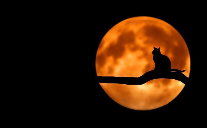 Pun Mjesec u Blizancima je 27. novembra: Pročitajte šta horoskop poručuje za sve znakove Zodijaka