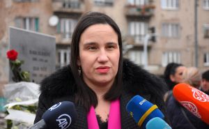 Karić zatražila reakciju ministra Konakovića: Nedopustivo ponašanje državljanina Izraela Kabirija