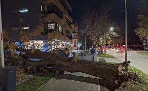 Nevrijeme pogodilo BiH: Snažan vjetar oborio stablo u centru Banje Luke