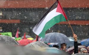 U Sarajevu održan skup podrške Palestini: Stotine građana poručuje 'stop ubijanju djece!'