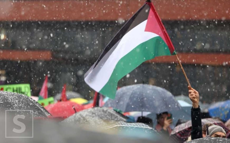 U Sarajevu održan skup podrške Palestini: Stotine građana poručuje 'stop ubijanju djece!'