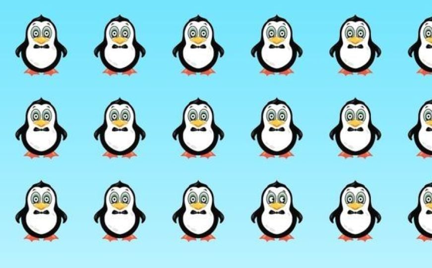 Riješite mozgalicu: Koji se pingvin razlikuje od ostalih?