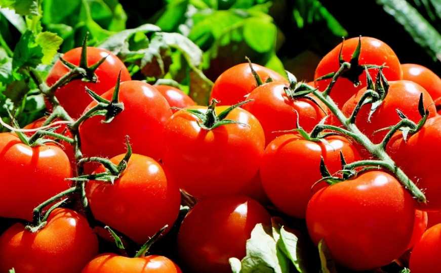 Niste ljubitelj paradajza? Uključit ćete ga u svoju prehranu nakon što saznate koliko je zdrav