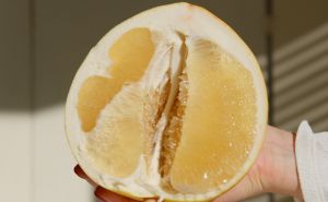 Jeste li čuli za citrusno voće pomelo? Savršen je dodatak smoothieju
