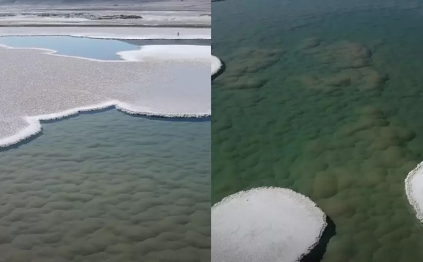 Naučnici otkrili izgubljeni svijet na našoj planeti: "Niko nikad nije vidio ništa slično"