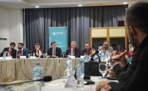 U Sarajevu održan Medijski forum BiH - Turska: Cilj jača saradnja u borbi protiv dezinformacija