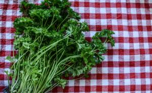 Korisna biljka: Poboljšava probavu, ublažava stomačne probleme, a u kuhinji nezamjenjiv začin