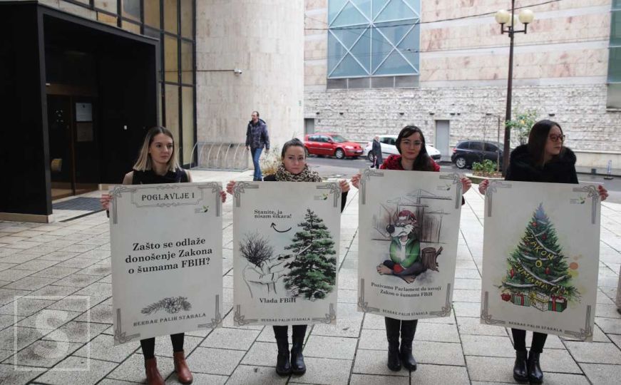Aarhus centar održao protest: Zašto se odlaže donošenje Zakona o šumama u FBiH?