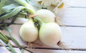 Mnoge domaćice prave veliku grešku: Kako da vam luk duže traje i ne pokvari se?